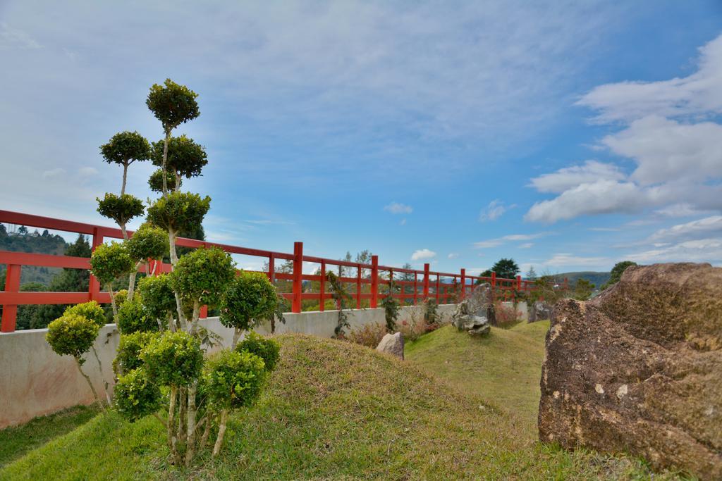 Matsubara Campos do Jordão